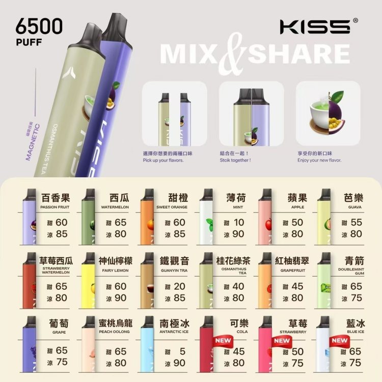 凱斯KISS6500口 拋棄式電子煙購買 現貨24H速發